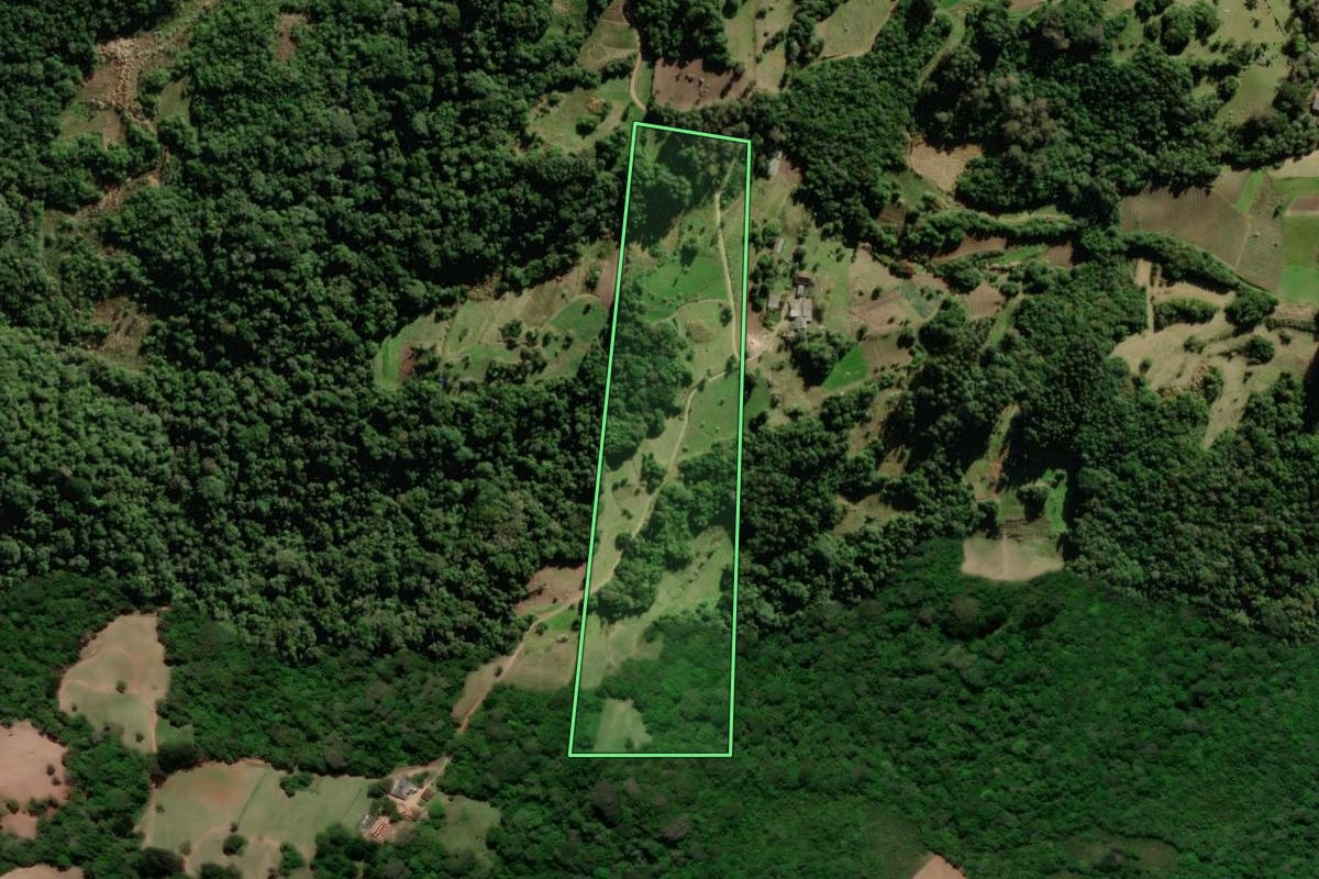 Imagem de satélite do imóvel rural em São Lourenço do Sul (RS), com o contorno declarado no CAR desenhado por cima.