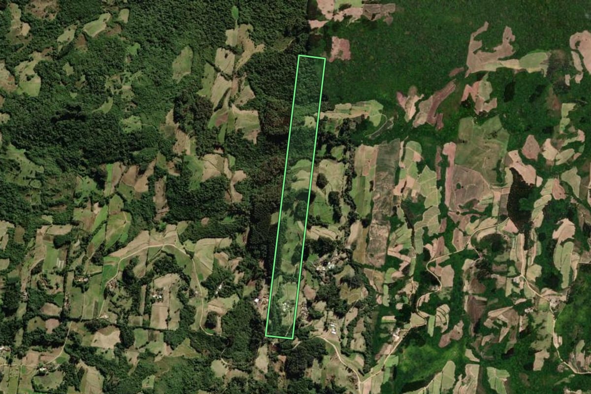 Imagem de satélite do imóvel rural em São Lourenço do Sul (RS), com o contorno declarado no CAR desenhado por cima.