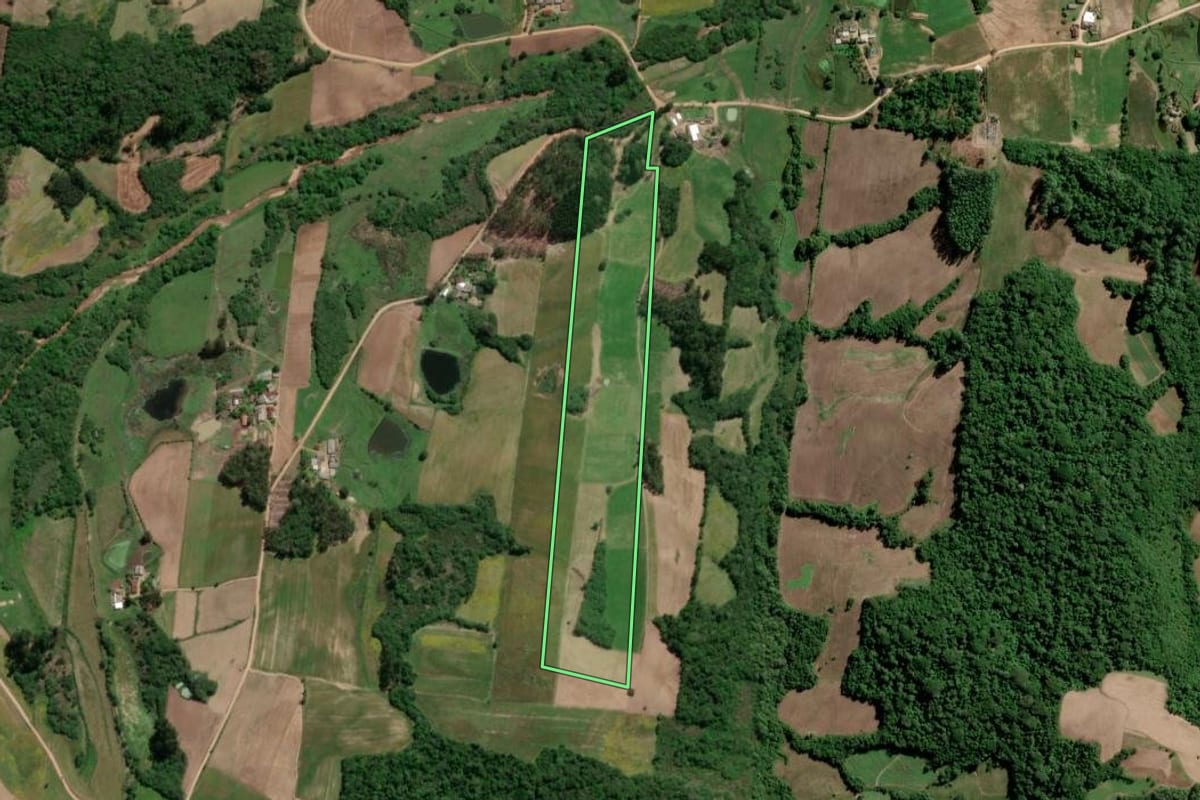 Imagem de satélite do imóvel rural em São Lourenço do Sul (RS), com o contorno declarado no CAR desenhado por cima.
