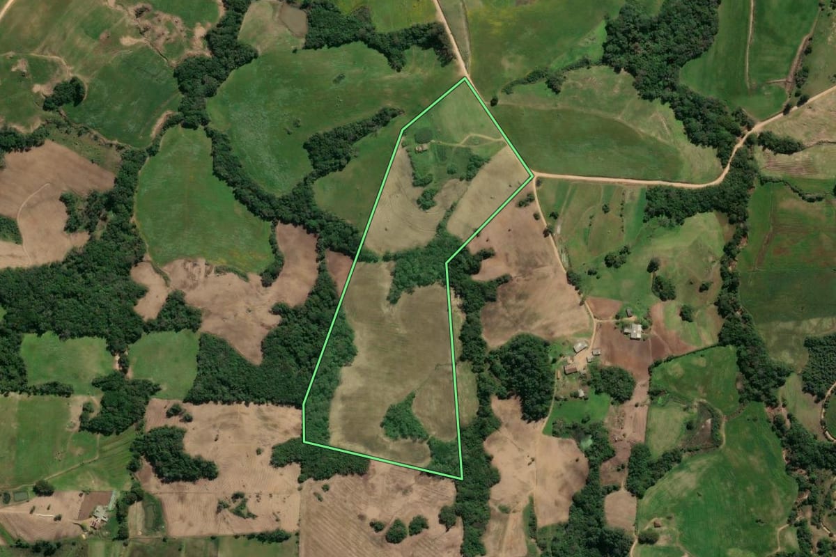 Imagem de satélite do imóvel rural em São Lourenço do Sul (RS), com o contorno declarado no CAR desenhado por cima.