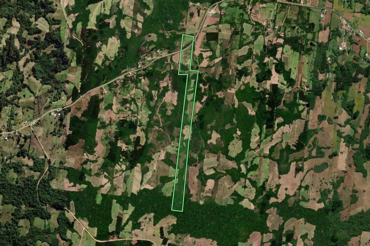 Imagem de satélite do imóvel rural em São Lourenço do Sul (RS), com o contorno declarado no CAR desenhado por cima.