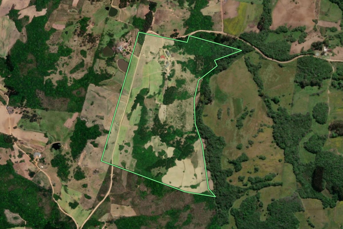 Imagem de satélite do imóvel rural em São Lourenço do Sul (RS), com o contorno declarado no CAR desenhado por cima.