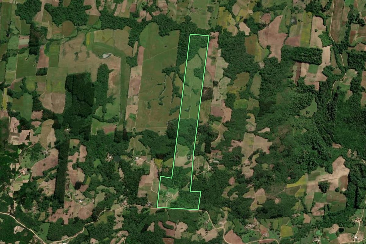 Imagem de satélite do imóvel rural em São Lourenço do Sul (RS), com o contorno declarado no CAR desenhado por cima.