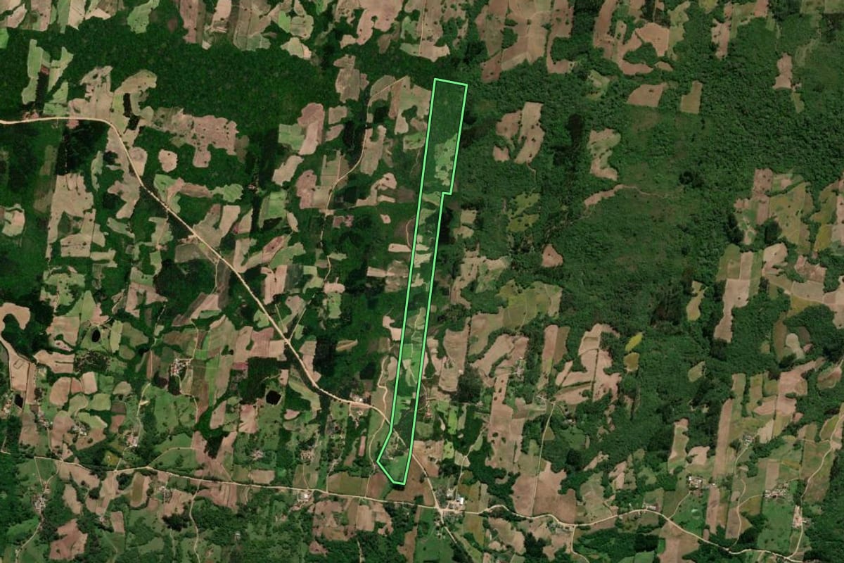 Imagem de satélite do imóvel rural em São Lourenço do Sul (RS), com o contorno declarado no CAR desenhado por cima.