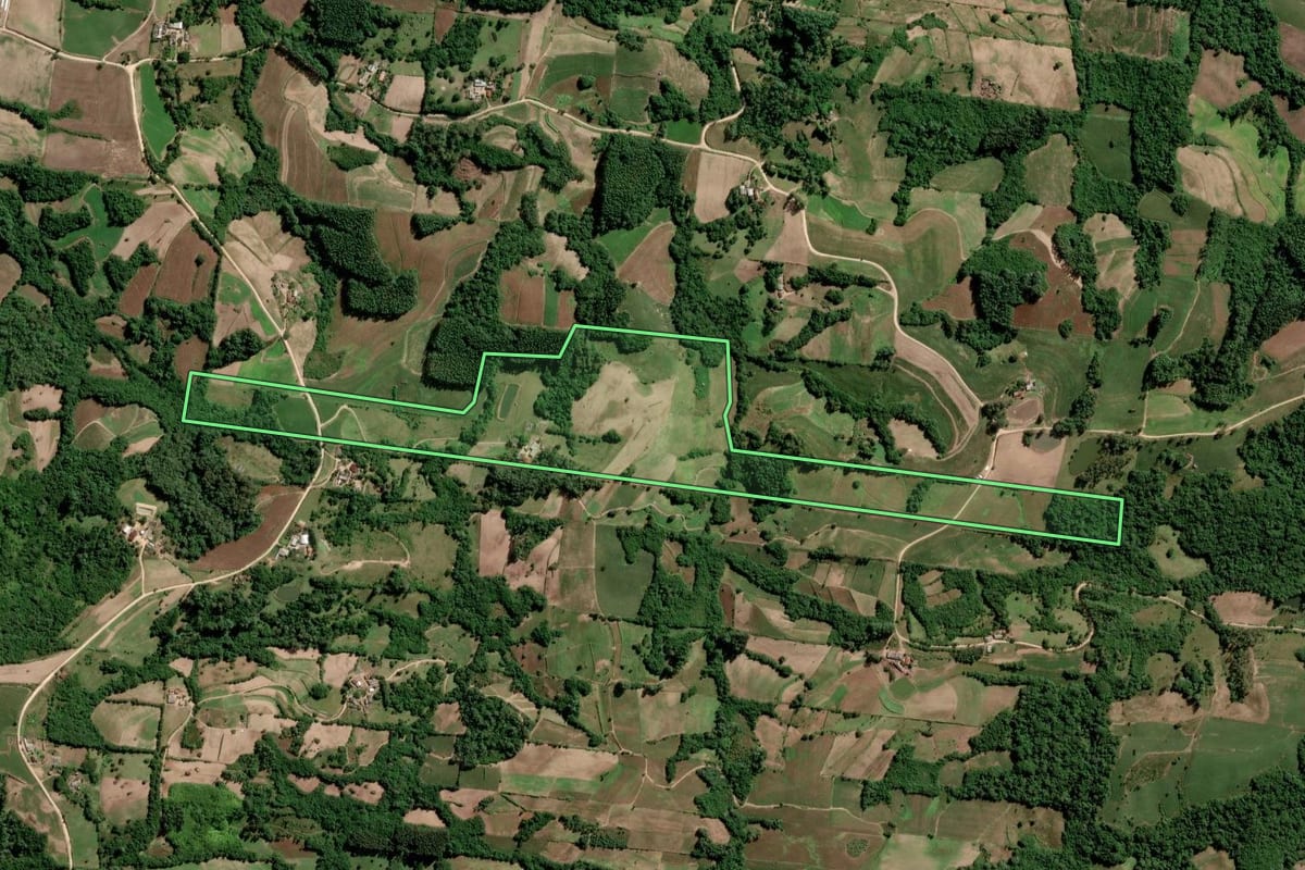 Imagem de satélite do imóvel rural em São Lourenço do Sul (RS), com o contorno declarado no CAR desenhado por cima.