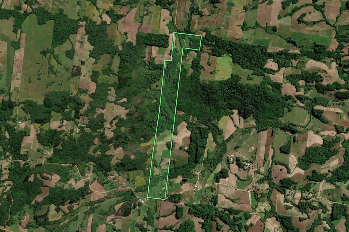 Imagem de satélite do imóvel rural em São Lourenço do Sul (RS), com o contorno declarado no CAR desenhado por cima.