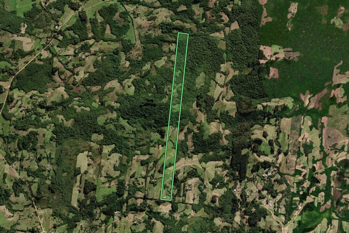Imagem de satélite do imóvel rural em São Lourenço do Sul (RS), com o contorno declarado no CAR desenhado por cima.