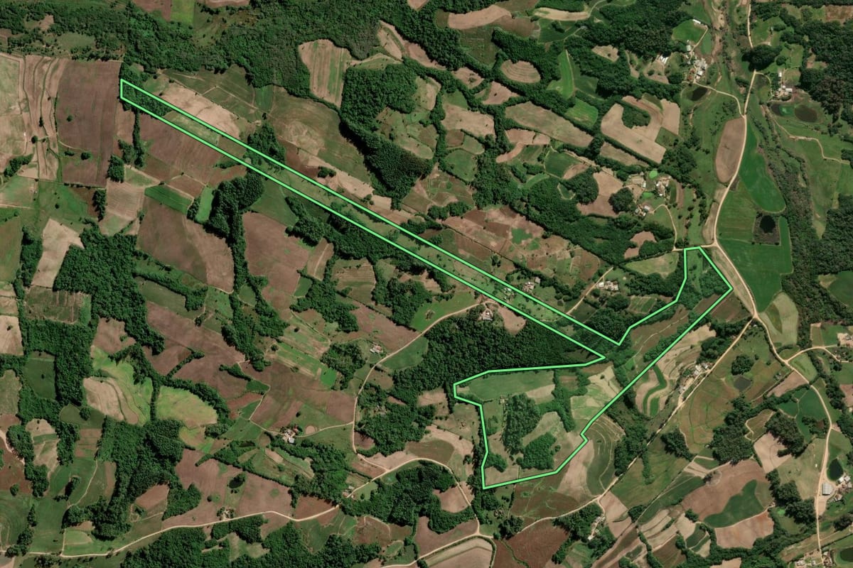 Imagem de satélite do imóvel rural em São Lourenço do Sul (RS), com o contorno declarado no CAR desenhado por cima.