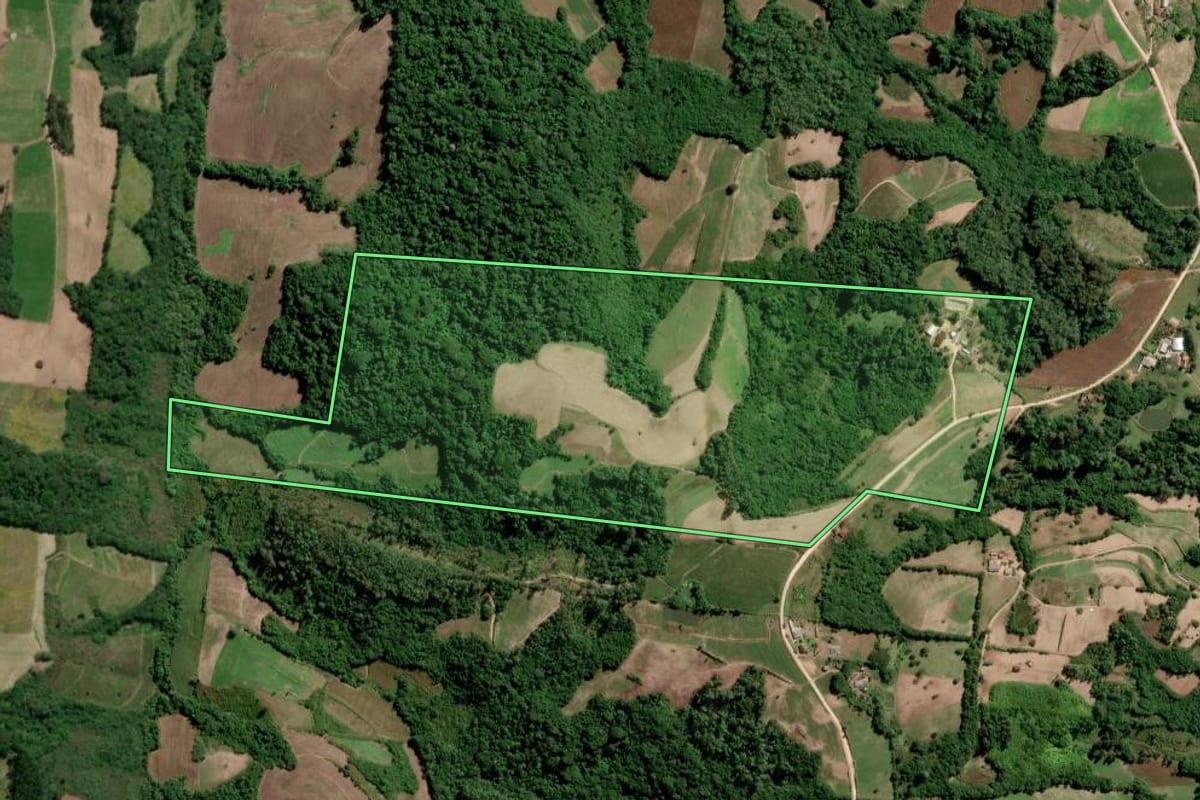 Imagem de satélite do imóvel rural em São Lourenço do Sul (RS), com o contorno declarado no CAR desenhado por cima.