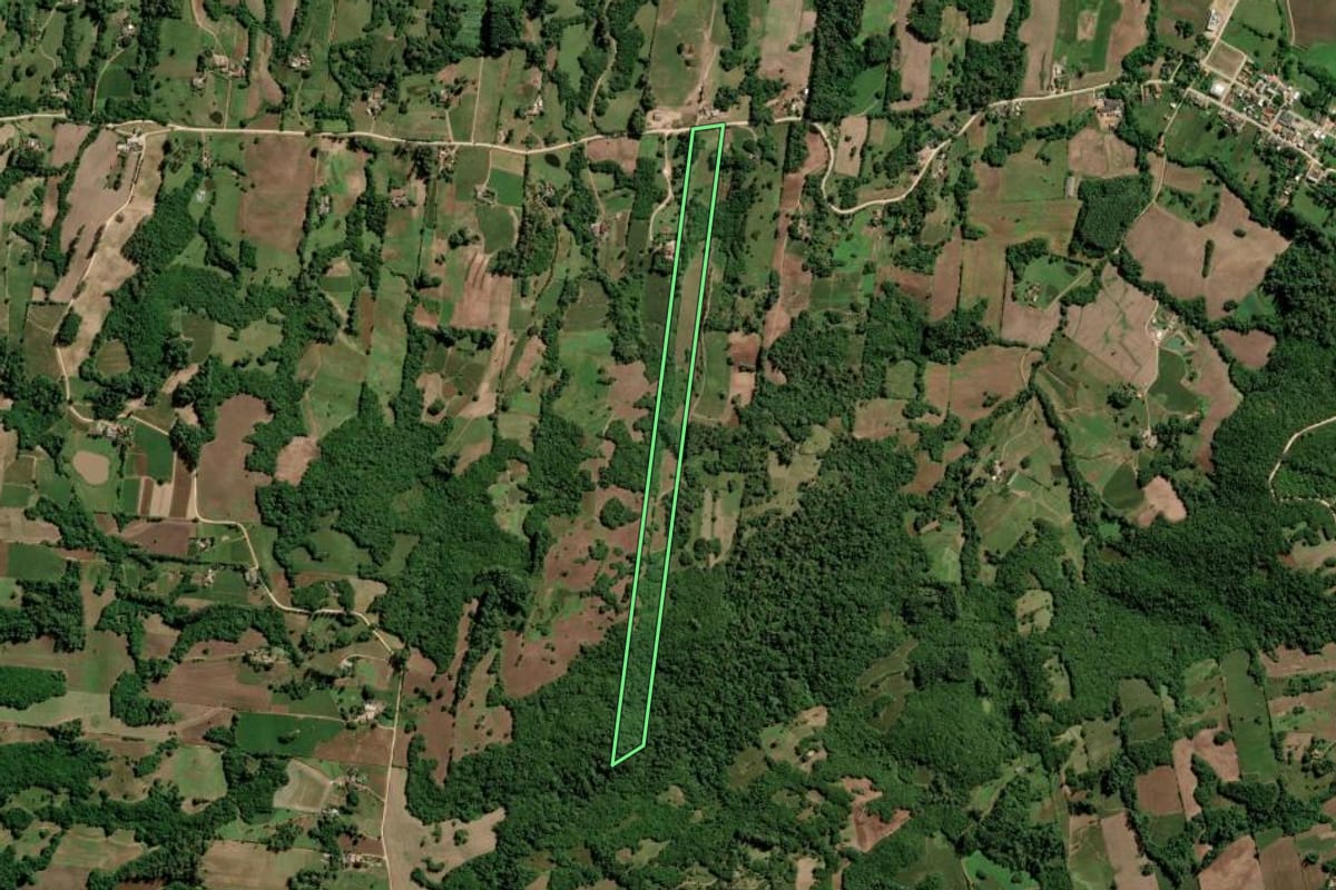 Imagem de satélite do imóvel rural em São Lourenço do Sul (RS), com o contorno declarado no CAR desenhado por cima.