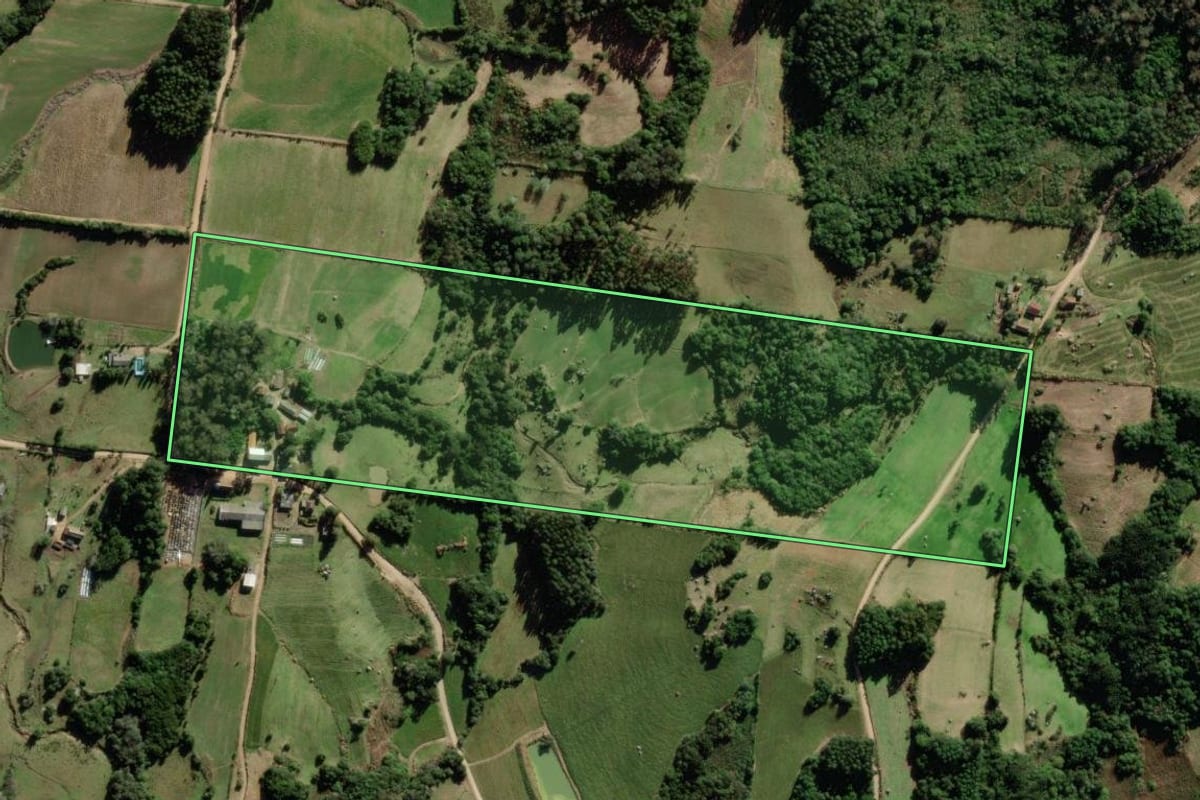 Imagem de satélite do imóvel rural em São Lourenço do Sul (RS), com o contorno declarado no CAR desenhado por cima.
