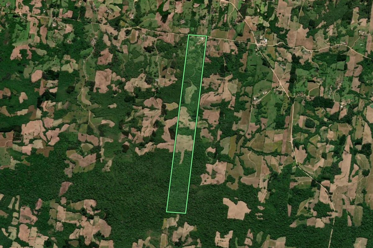 Imagem de satélite do imóvel rural em São Lourenço do Sul (RS), com o contorno declarado no CAR desenhado por cima.