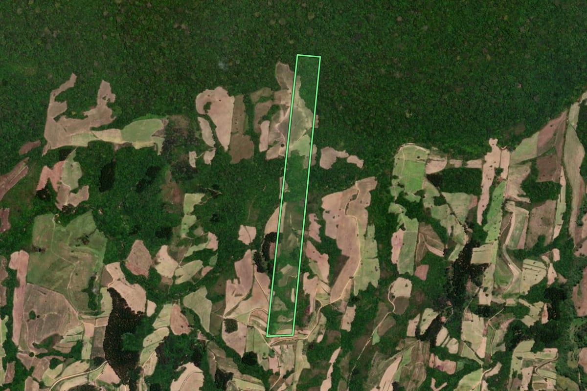 Imagem de satélite do imóvel rural em São Lourenço do Sul (RS), com o contorno declarado no CAR desenhado por cima.
