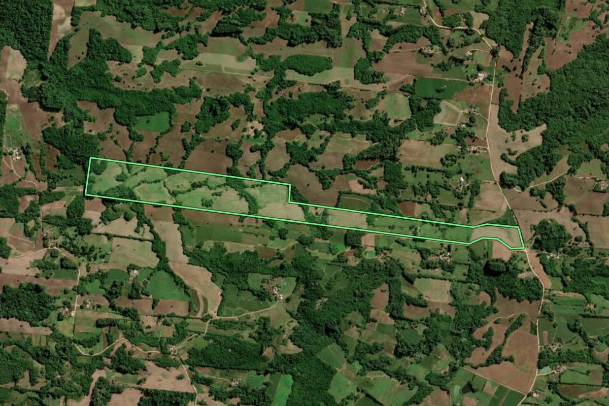 Imagem de satélite do imóvel rural em São Lourenço do Sul (RS), com o contorno declarado no CAR desenhado por cima.