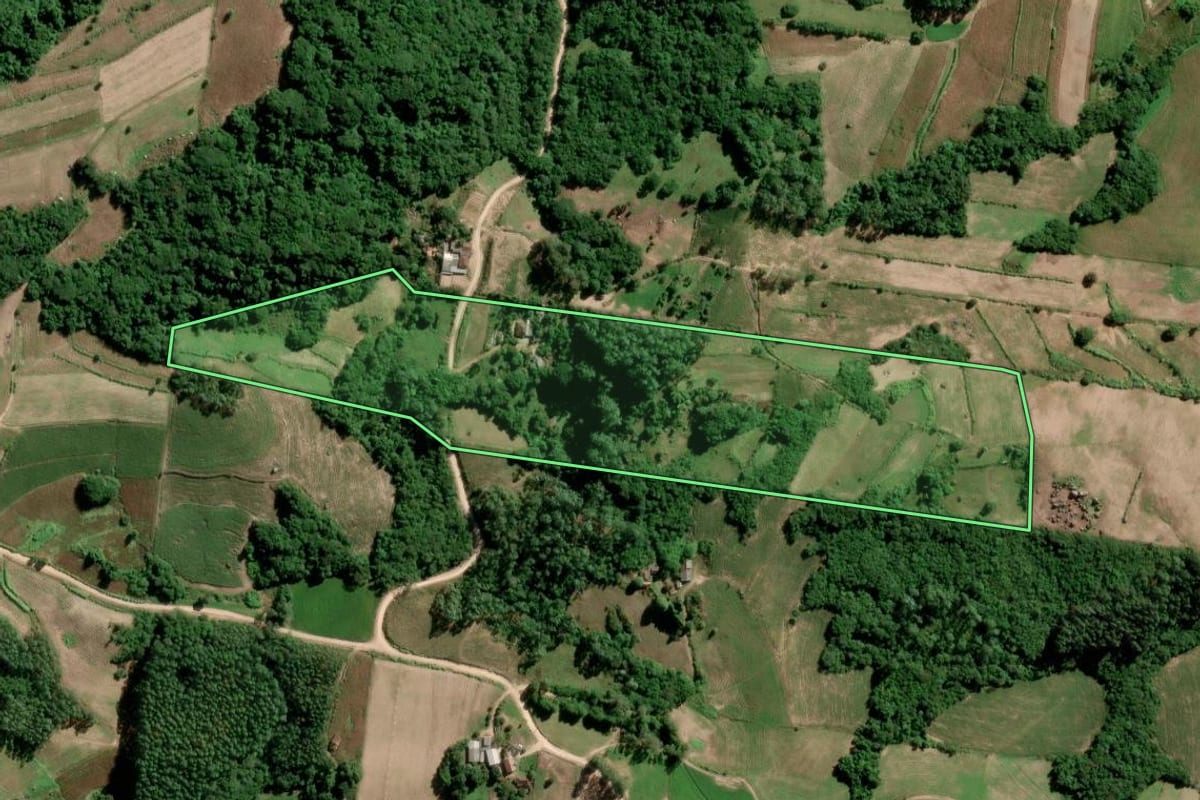 Imagem de satélite do imóvel rural em São Lourenço do Sul (RS), com o contorno declarado no CAR desenhado por cima.
