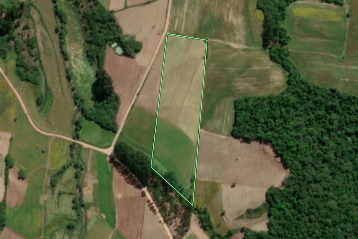 Imagem de satélite do imóvel rural em São Lourenço do Sul (RS), com o contorno declarado no CAR desenhado por cima.