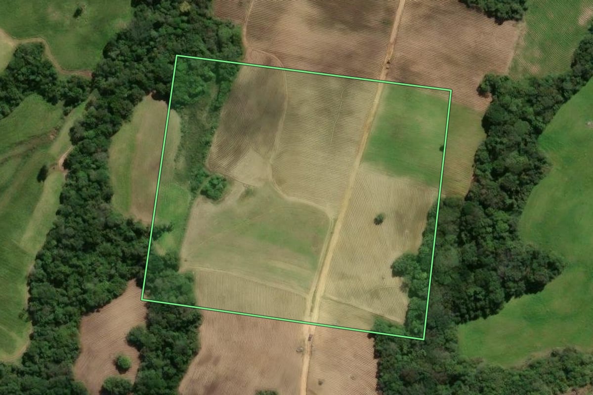 Imagem de satélite do imóvel rural em São Lourenço do Sul (RS), com o contorno declarado no CAR desenhado por cima.