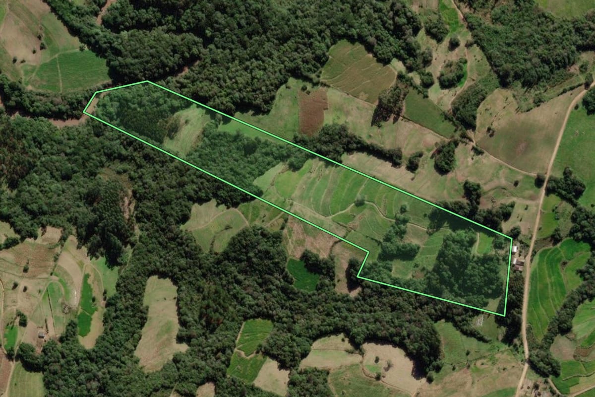 Imagem de satélite do imóvel rural em São Lourenço do Sul (RS), com o contorno declarado no CAR desenhado por cima.