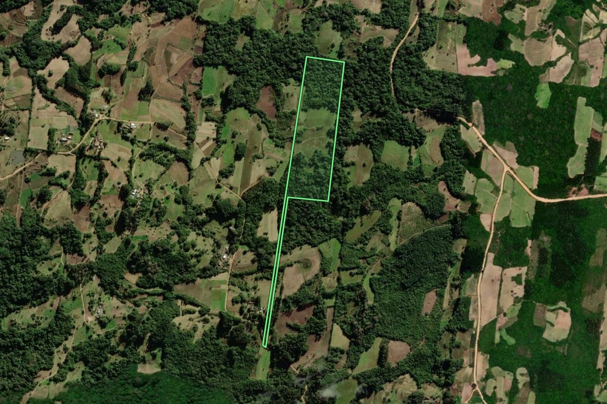Imagem de satélite do imóvel rural em São Lourenço do Sul (RS), com o contorno declarado no CAR desenhado por cima.