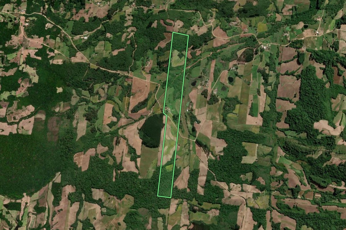 Imagem de satélite do imóvel rural em São Lourenço do Sul (RS), com o contorno declarado no CAR desenhado por cima.