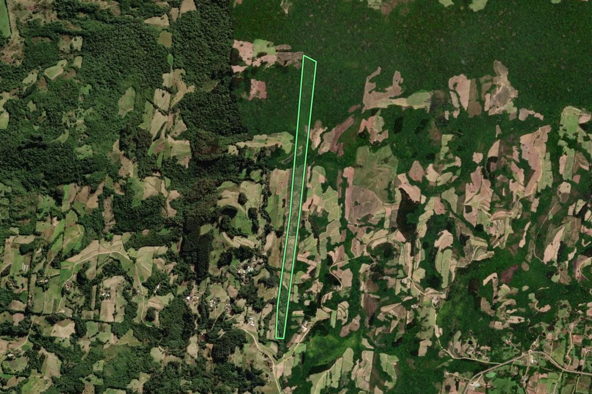 Imagem de satélite do imóvel rural em São Lourenço do Sul (RS), com o contorno declarado no CAR desenhado por cima.