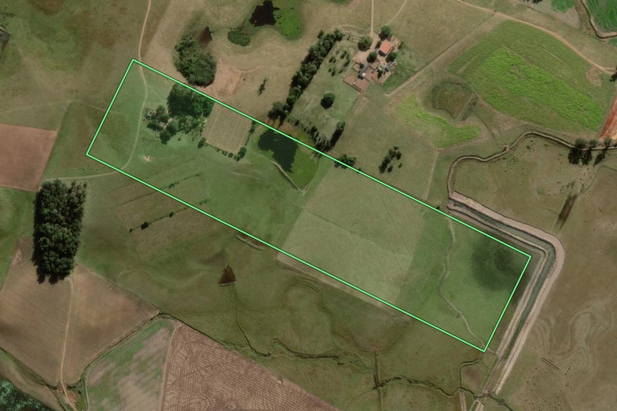 Imagem de satélite do imóvel rural em São Lourenço do Sul (RS), com o contorno declarado no CAR desenhado por cima.