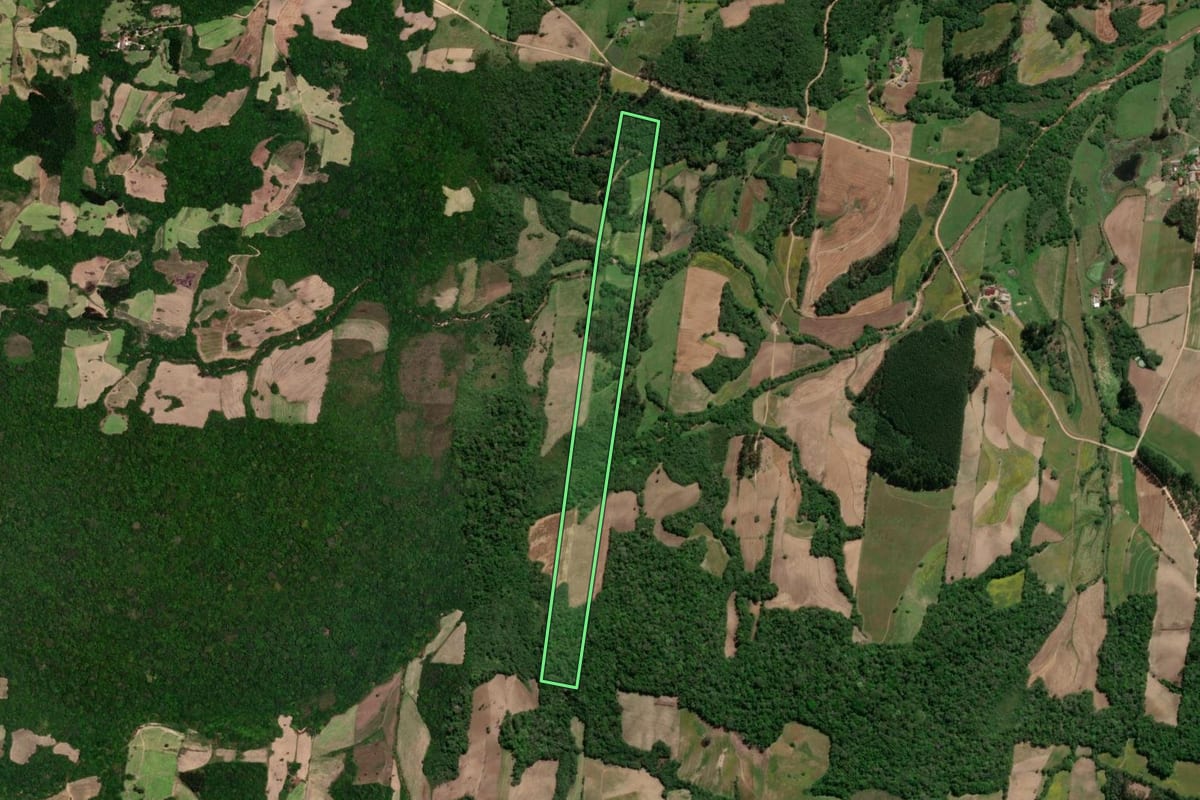 Imagem de satélite do imóvel rural em São Lourenço do Sul (RS), com o contorno declarado no CAR desenhado por cima.