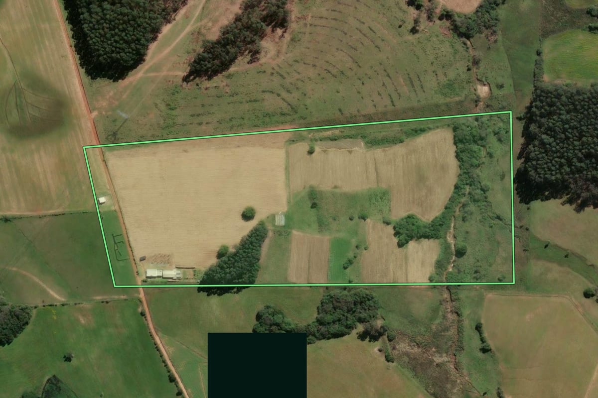 Imagem de satélite do imóvel rural em São Lourenço do Sul (RS), com o contorno declarado no CAR desenhado por cima.