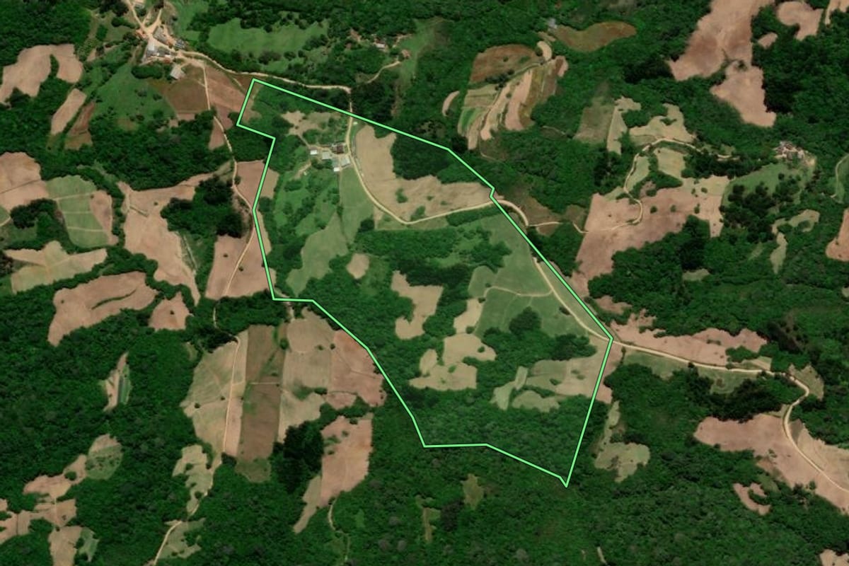 Imagem de satélite do imóvel rural em São Lourenço do Sul (RS), com o contorno declarado no CAR desenhado por cima.