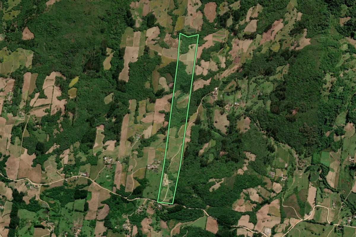 Imagem de satélite do imóvel rural em São Lourenço do Sul (RS), com o contorno declarado no CAR desenhado por cima.