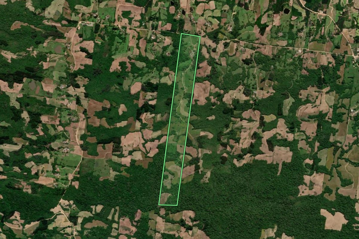 Imagem de satélite do imóvel rural em São Lourenço do Sul (RS), com o contorno declarado no CAR desenhado por cima.