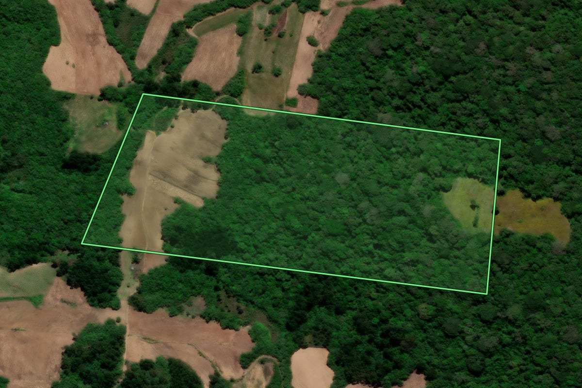 Imagem de satélite do imóvel rural em São Lourenço do Sul (RS), com o contorno declarado no CAR desenhado por cima.