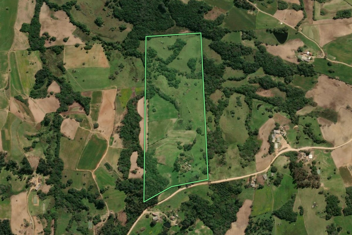 Imagem de satélite do imóvel rural em São Lourenço do Sul (RS), com o contorno declarado no CAR desenhado por cima.