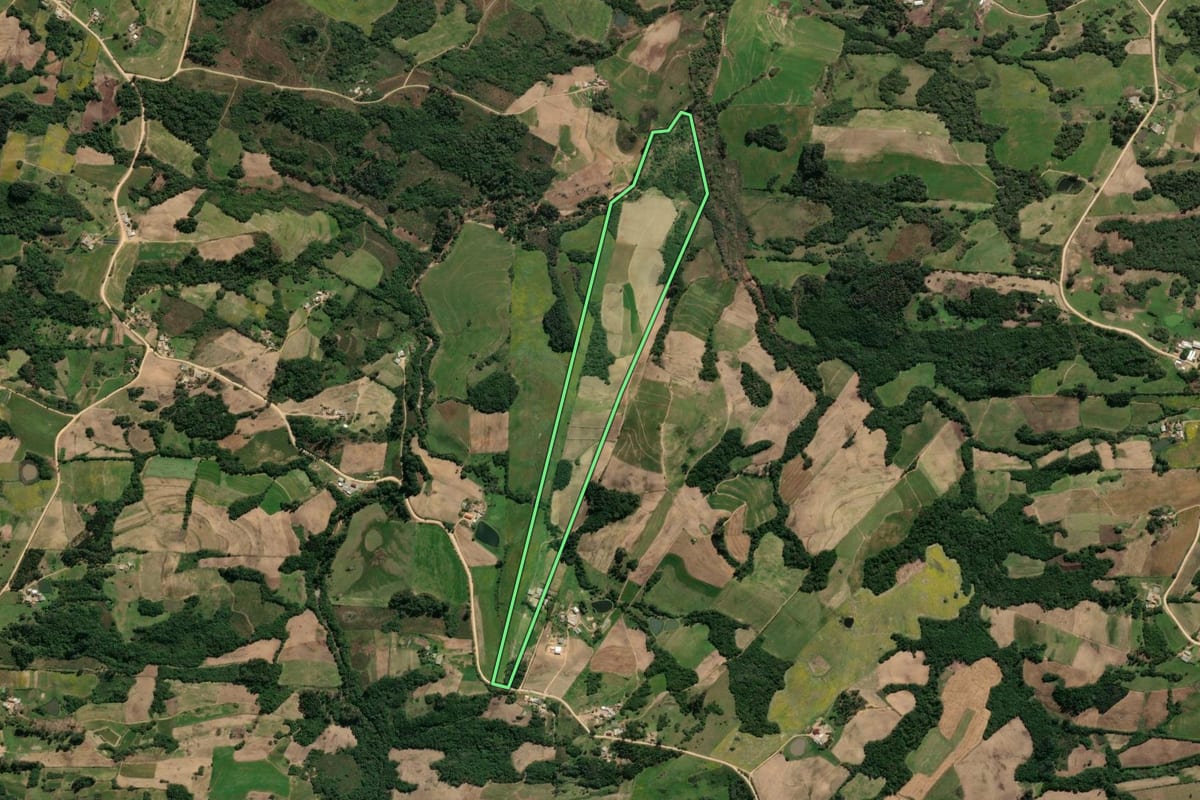 Imagem de satélite do imóvel rural em São Lourenço do Sul (RS), com o contorno declarado no CAR desenhado por cima.