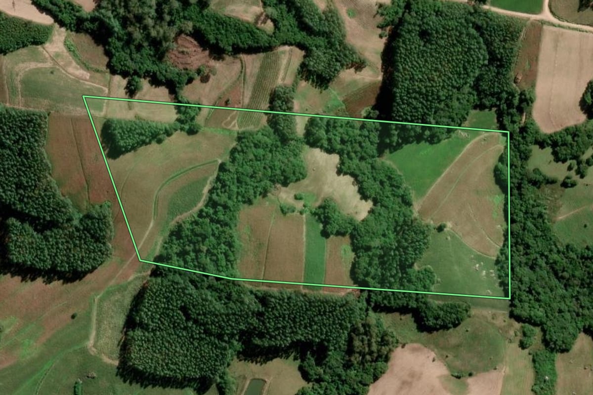 Imagem de satélite do imóvel rural em São Lourenço do Sul (RS), com o contorno declarado no CAR desenhado por cima.