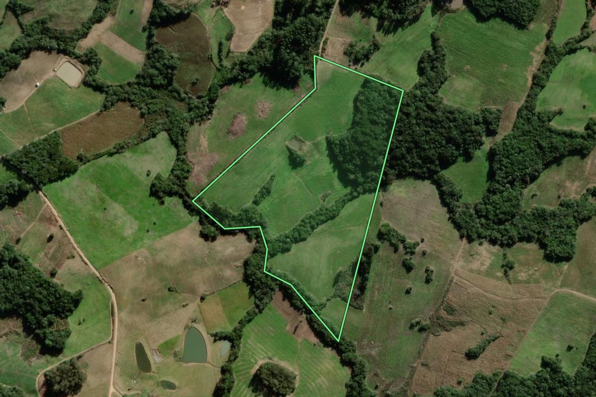Imagem de satélite do imóvel rural em São Lourenço do Sul (RS), com o contorno declarado no CAR desenhado por cima.