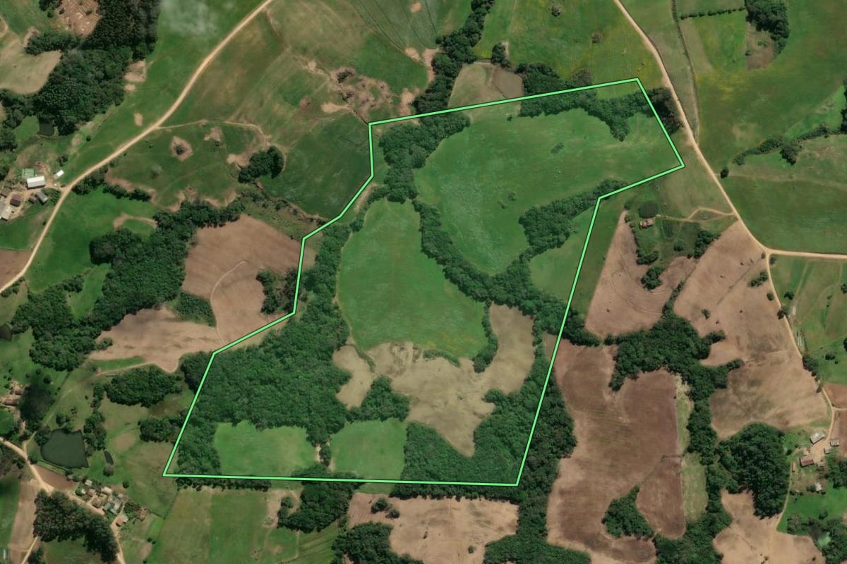 Imagem de satélite do imóvel rural em São Lourenço do Sul (RS), com o contorno declarado no CAR desenhado por cima.