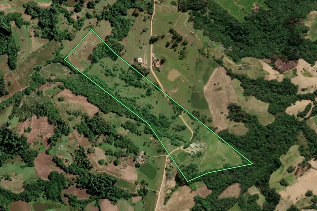 Imagem de satélite do imóvel rural em São Lourenço do Sul (RS), com o contorno declarado no CAR desenhado por cima.