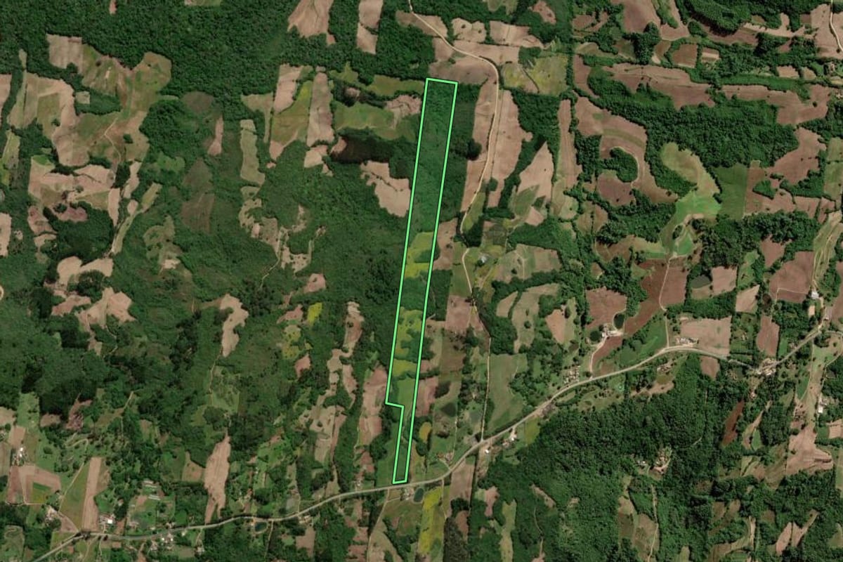 Imagem de satélite do imóvel rural em São Lourenço do Sul (RS), com o contorno declarado no CAR desenhado por cima.