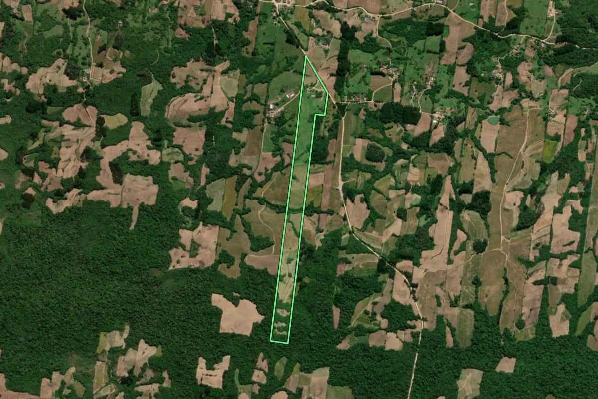Imagem de satélite do imóvel rural em São Lourenço do Sul (RS), com o contorno declarado no CAR desenhado por cima.