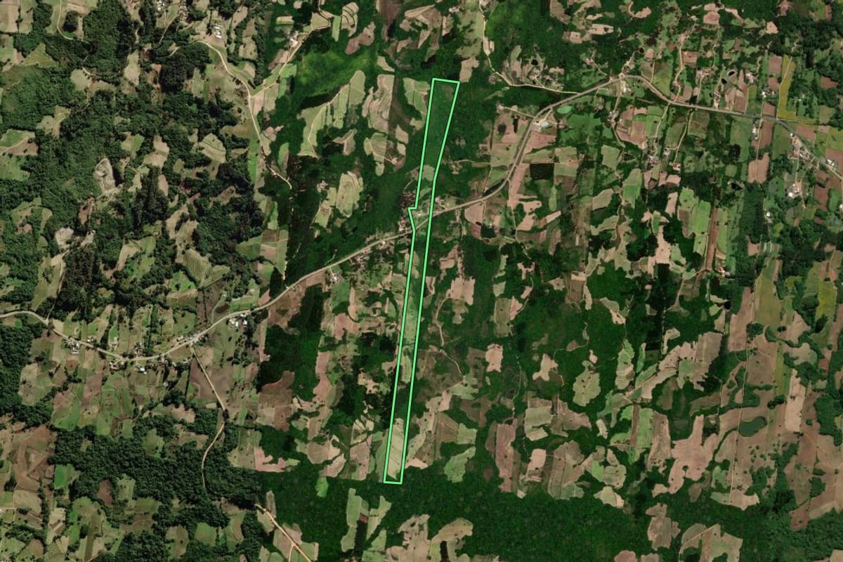 Imagem de satélite do imóvel rural em São Lourenço do Sul (RS), com o contorno declarado no CAR desenhado por cima.