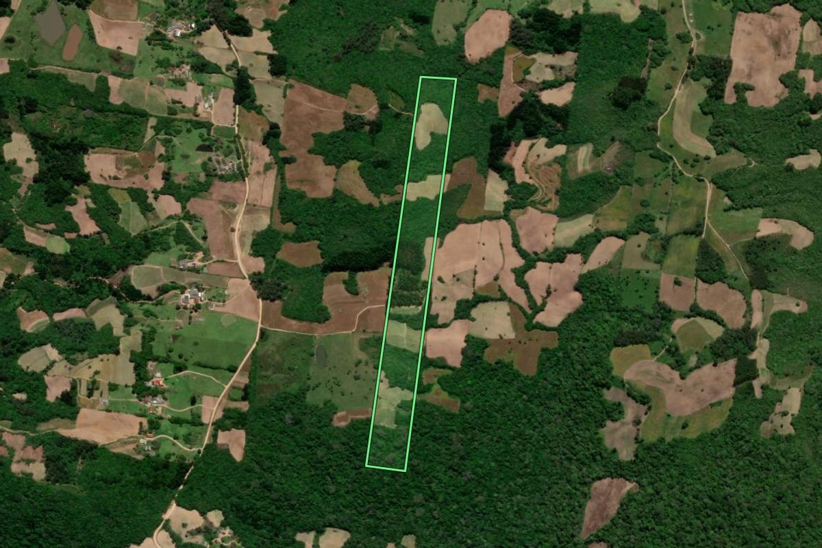 Imagem de satélite do imóvel rural em São Lourenço do Sul (RS), com o contorno declarado no CAR desenhado por cima.