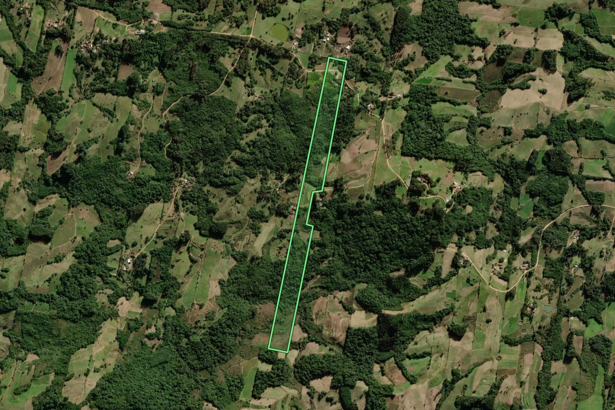 Imagem de satélite do imóvel rural em São Lourenço do Sul (RS), com o contorno declarado no CAR desenhado por cima.