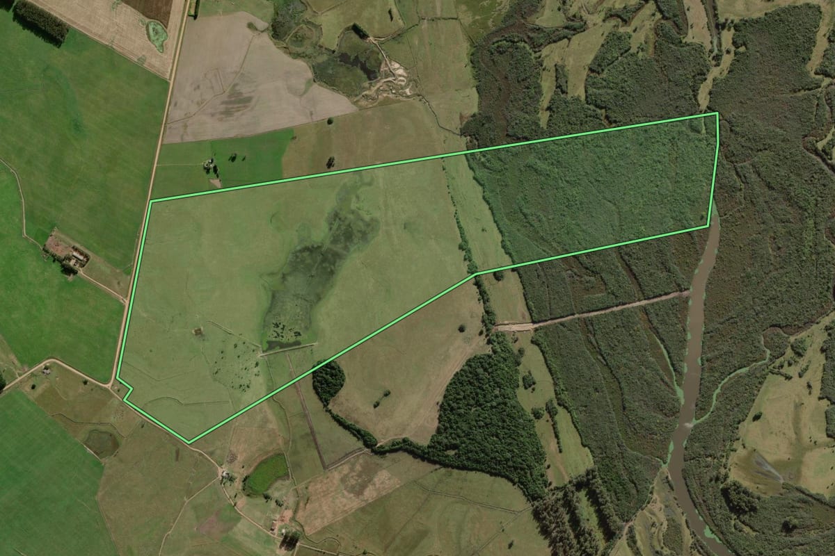 Imagem de satélite do imóvel rural em São Lourenço do Sul (RS), com o contorno declarado no CAR desenhado por cima.