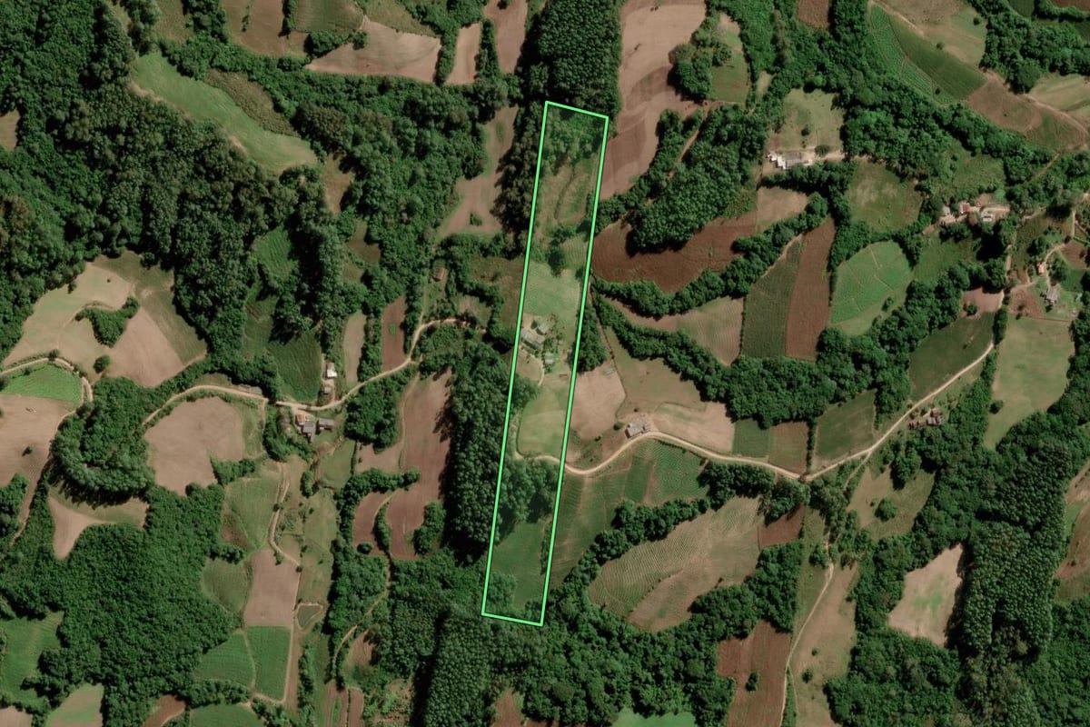 Imagem de satélite do imóvel rural em São Lourenço do Sul (RS), com o contorno declarado no CAR desenhado por cima.