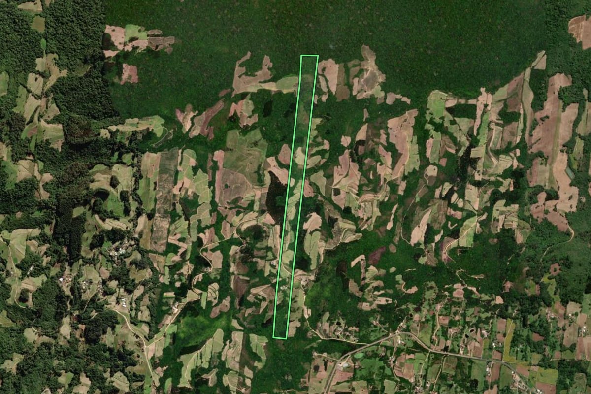 Imagem de satélite do imóvel rural em São Lourenço do Sul (RS), com o contorno declarado no CAR desenhado por cima.