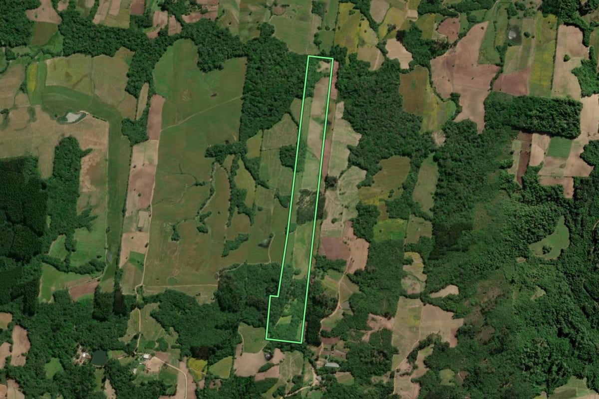Imagem de satélite do imóvel rural em São Lourenço do Sul (RS), com o contorno declarado no CAR desenhado por cima.