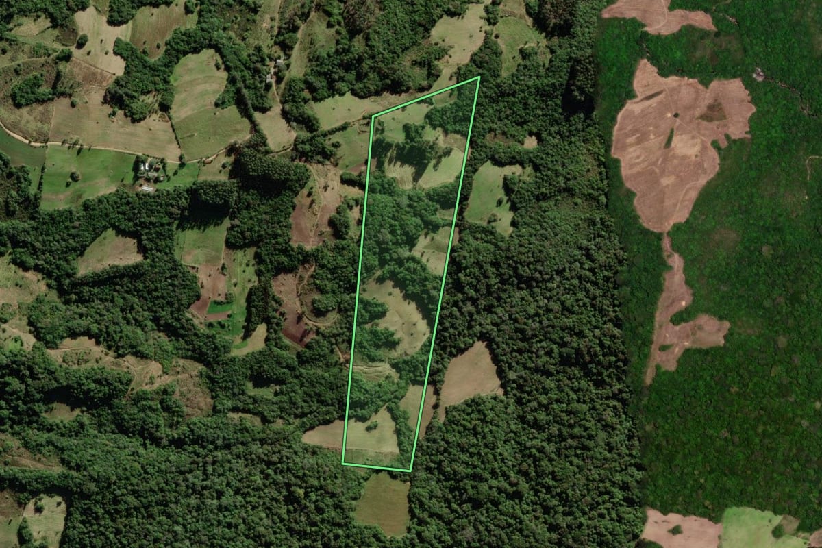 Imagem de satélite do imóvel rural em São Lourenço do Sul (RS), com o contorno declarado no CAR desenhado por cima.