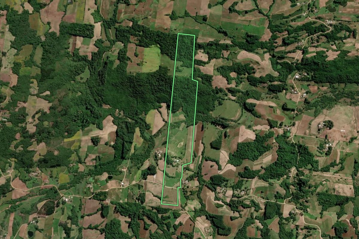 Imagem de satélite do imóvel rural em São Lourenço do Sul (RS), com o contorno declarado no CAR desenhado por cima.