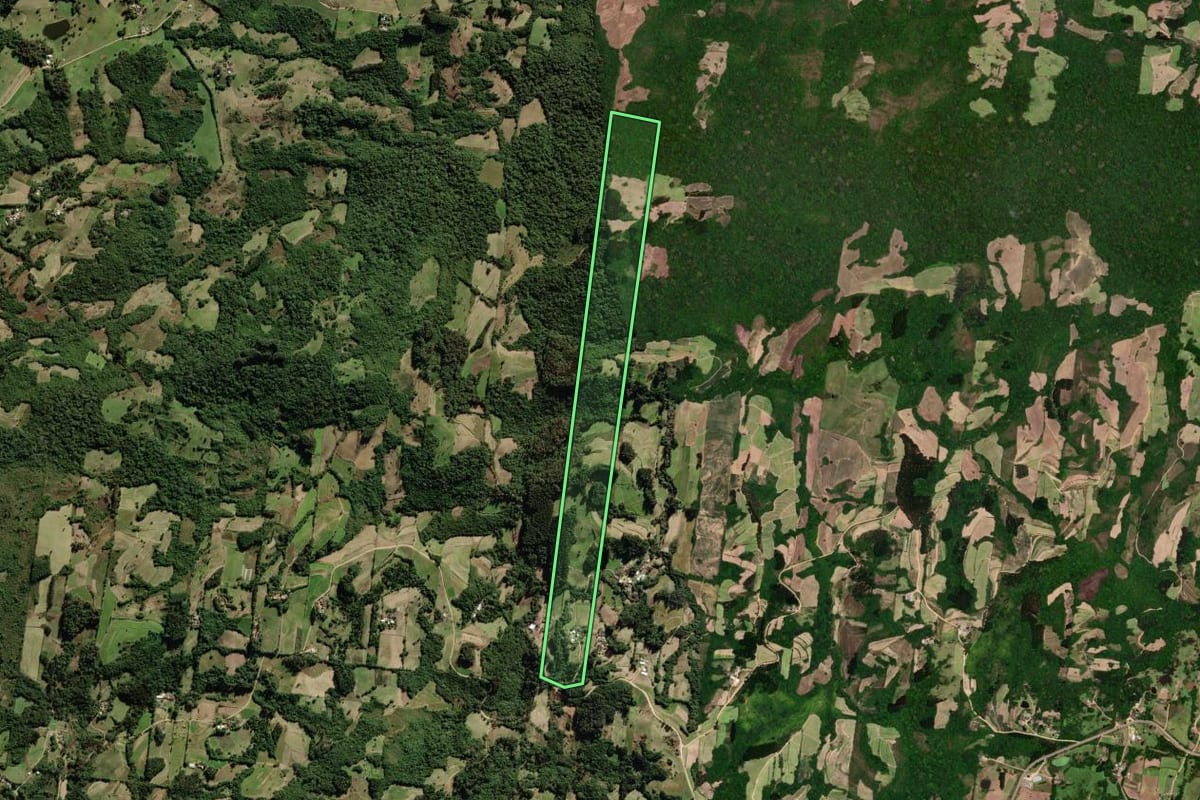 Imagem de satélite do imóvel rural em São Lourenço do Sul (RS), com o contorno declarado no CAR desenhado por cima.